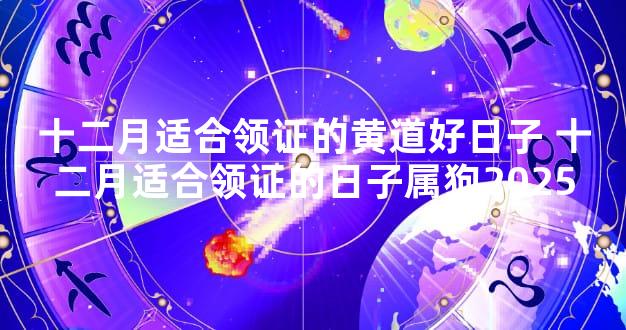 十二月适合领证的黄道好日子 十二月适合领证的日子属狗2025